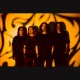 茂木洋晃（G-FREAK FACTORY）