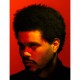 The Weeknd