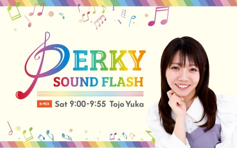 PERKY SOUND FLASH